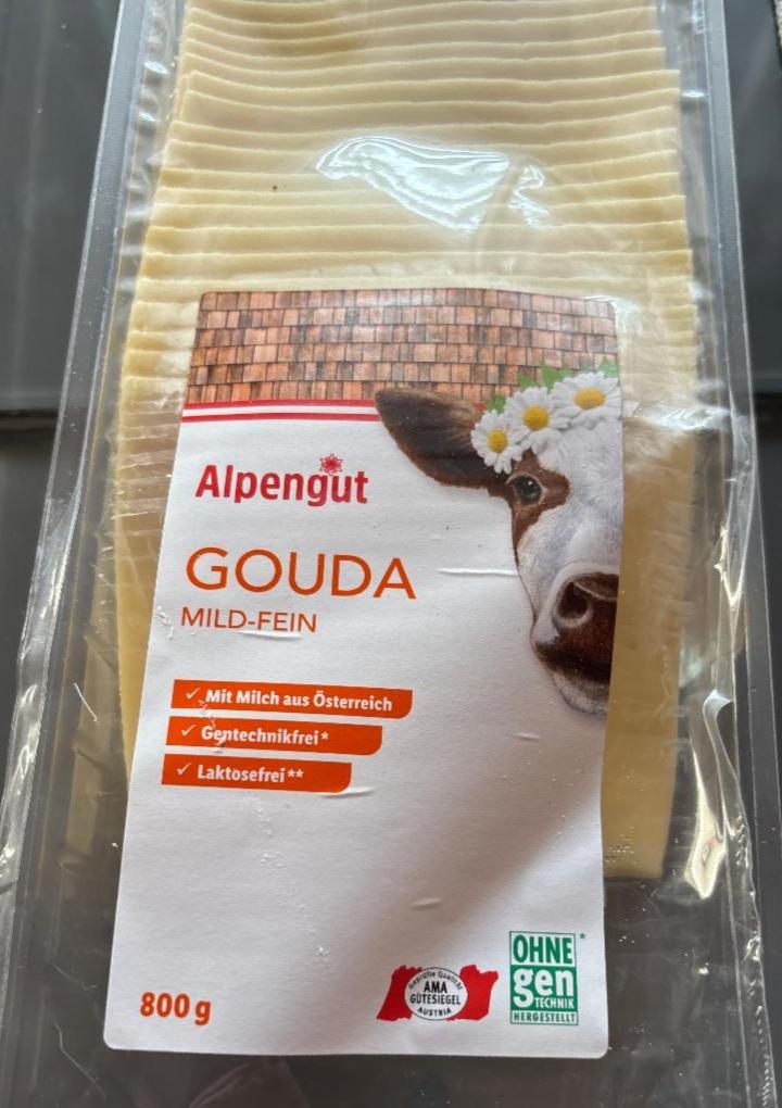 Fotografie - Gouda mild-fein Alpengut