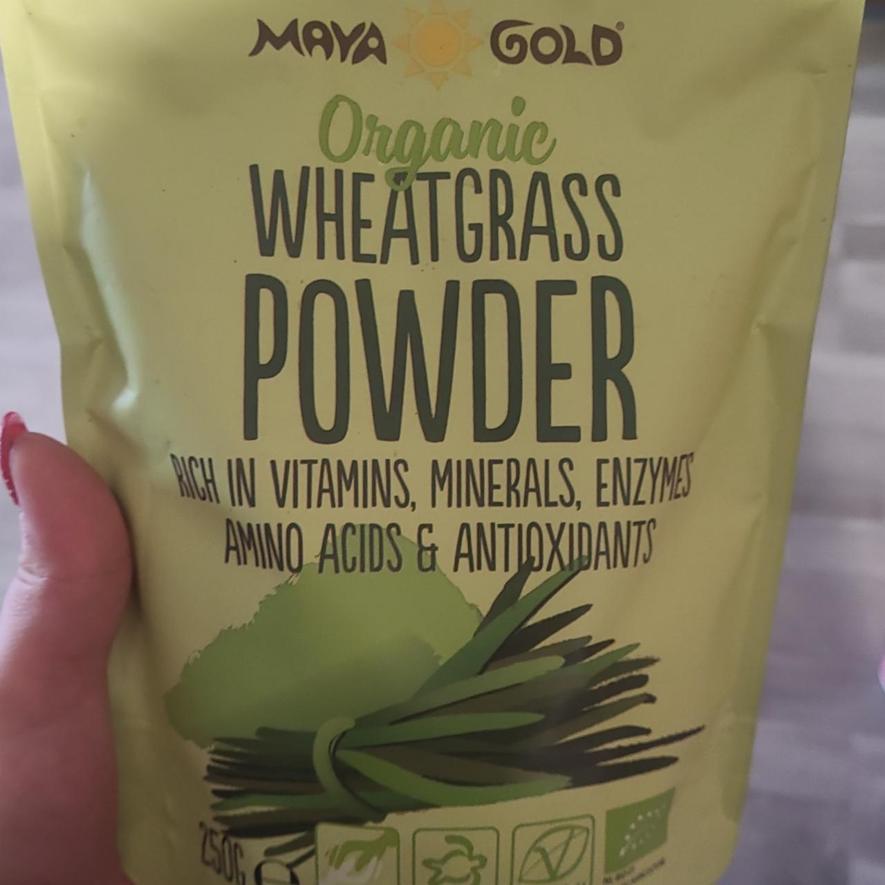 Fotografie - Organic wheatgrass powder maya gold