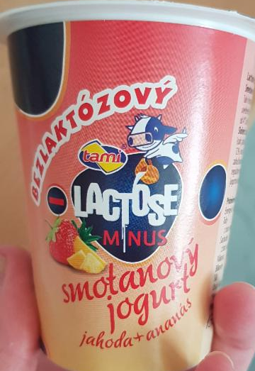 Fotografie - Tami Bezlaktózový smotanový jogurt jahoda+ananás