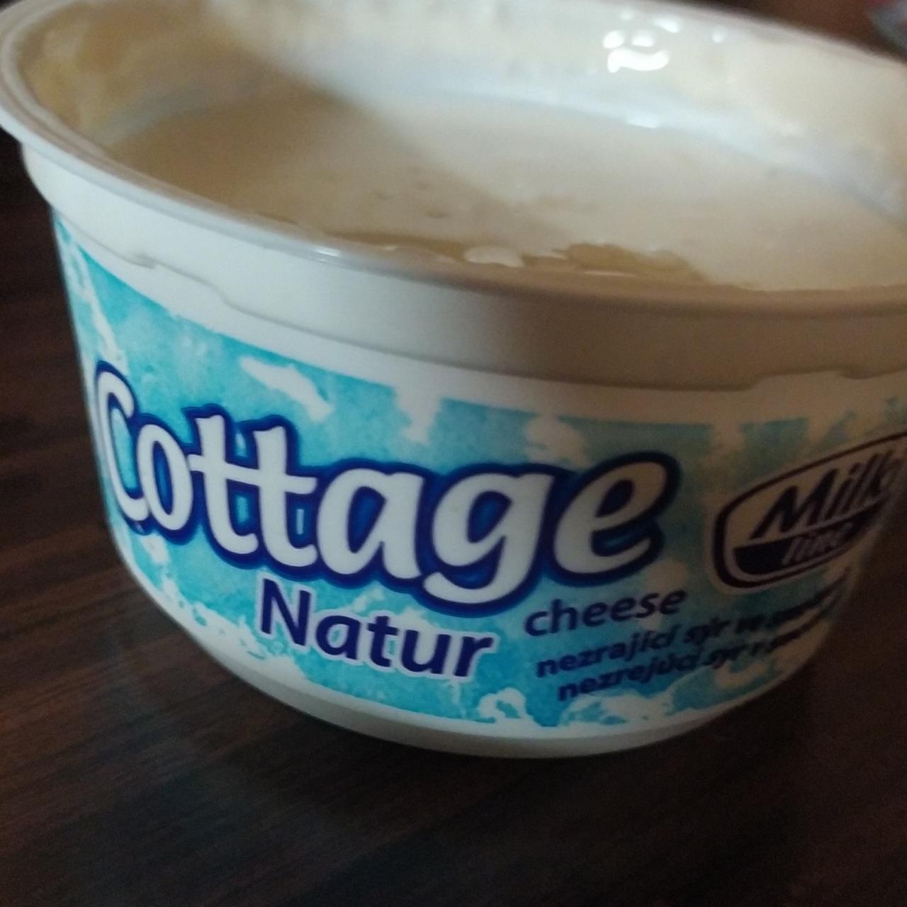 Fotografie - Cottage Cheese Natur nezrající sýr ve smetaně Milki line