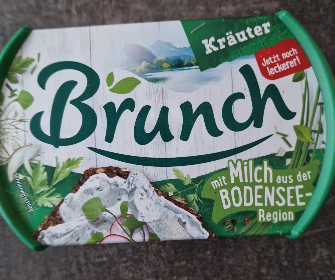 Fotografie - Brunch Kräuter