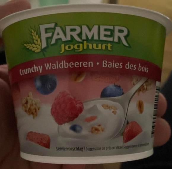 Fotografie - Farmer Joghurt crunchy Waldbeeren