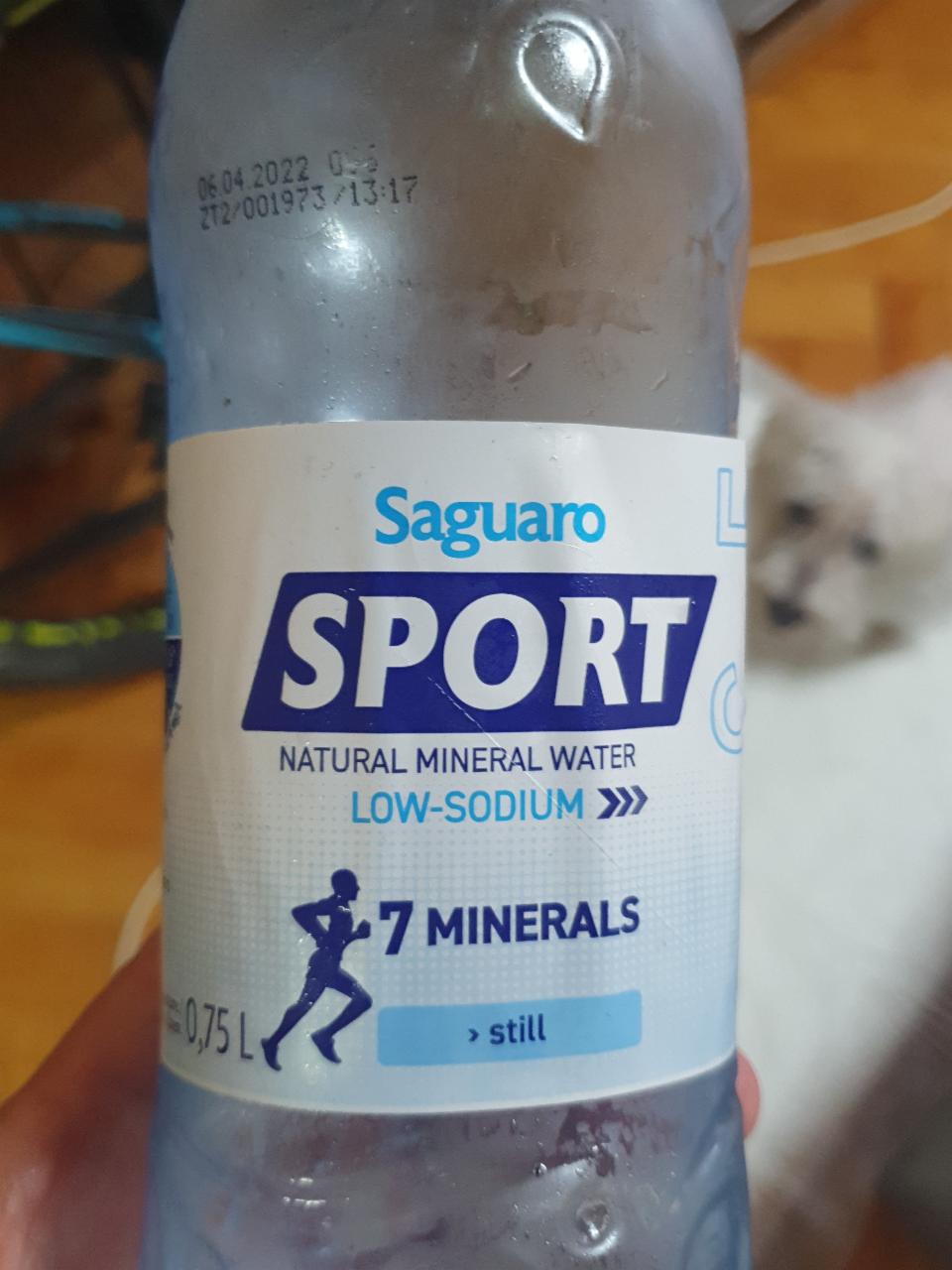 Fotografie - Saguaro Sport natural mineral water