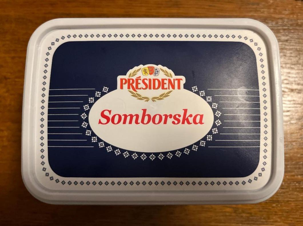 Fotografie - Somborska President