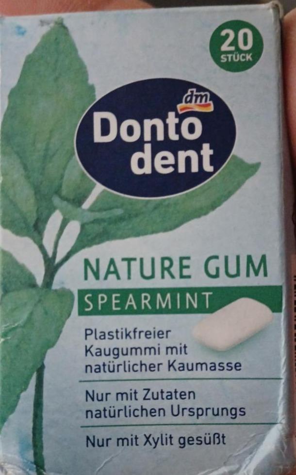 Fotografie - Nature gum Spearmint Donto dent dm