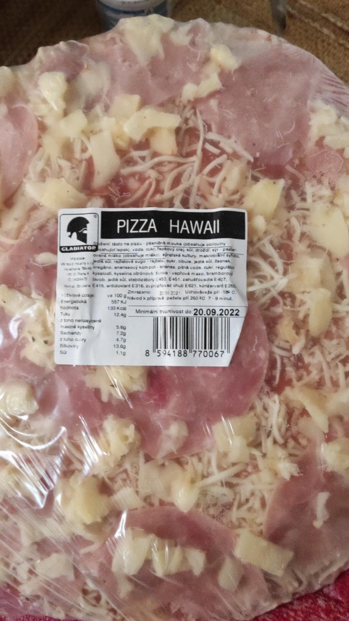 Fotografie - Pizza HAWAII