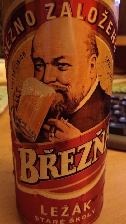 Fotografie - pivo Březňák