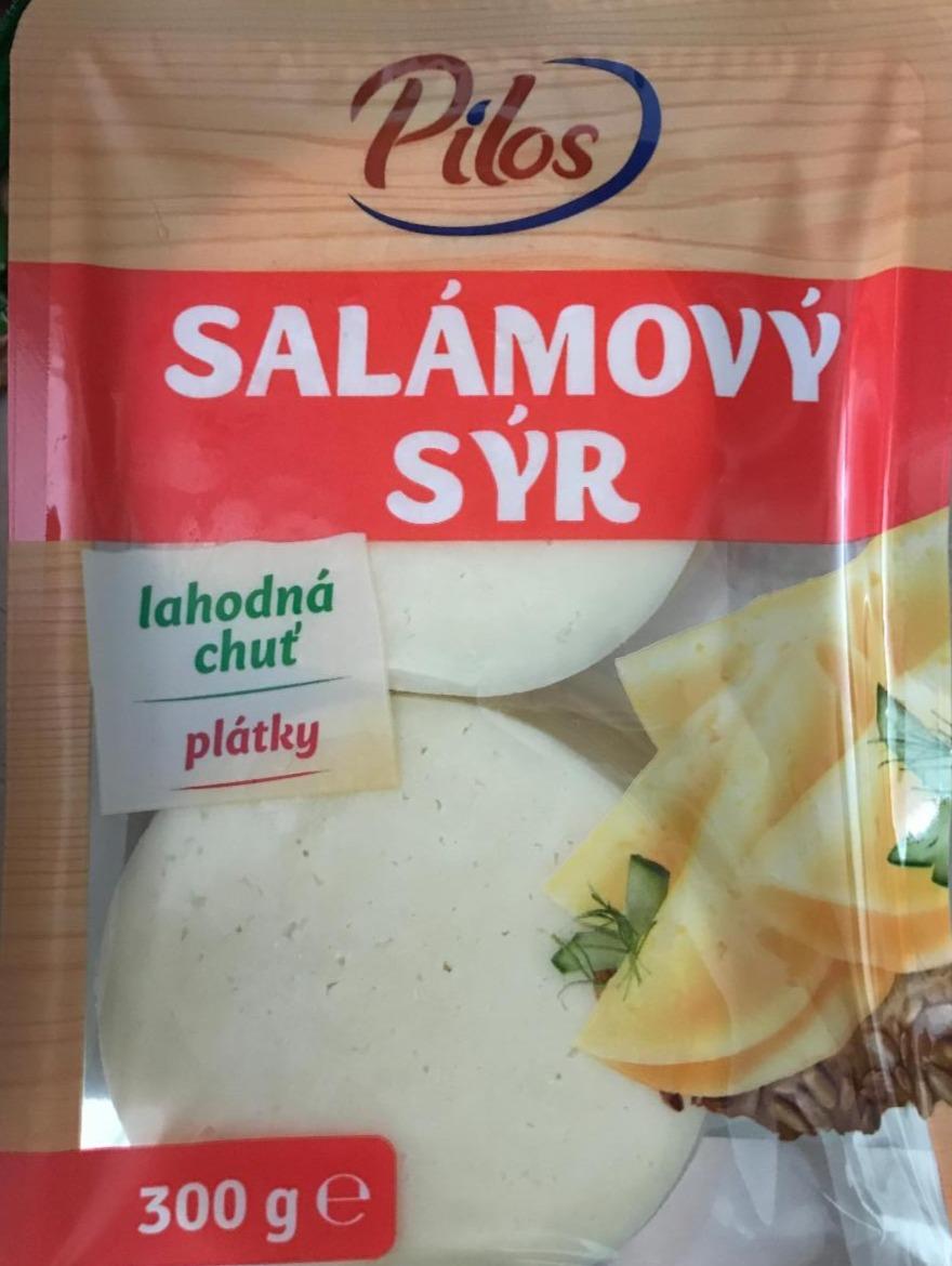 Fotografie - Salámový sýr Pilos
