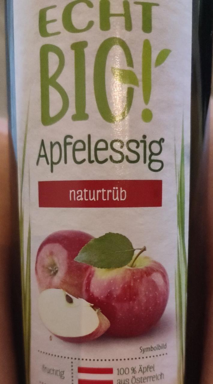 Fotografie - Apfelessig naturtrüb Echt Bio!