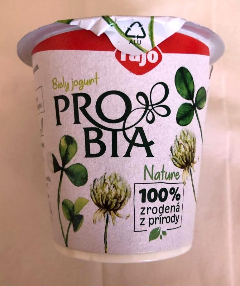 Fotografie - PROBIA Nature Biely jogurt Tuk 3.3% Rajo