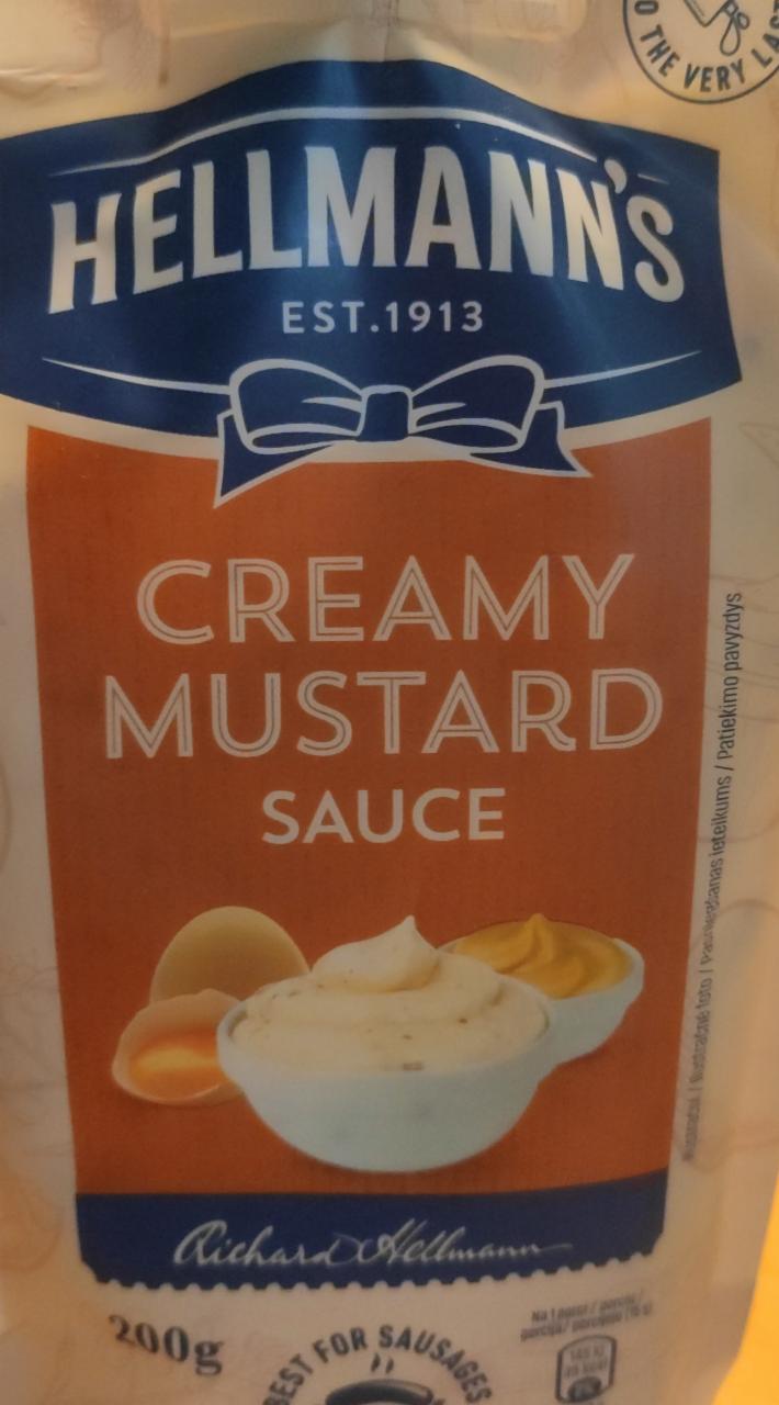 Fotografie - Creamy mustard sauce Hellmann´s