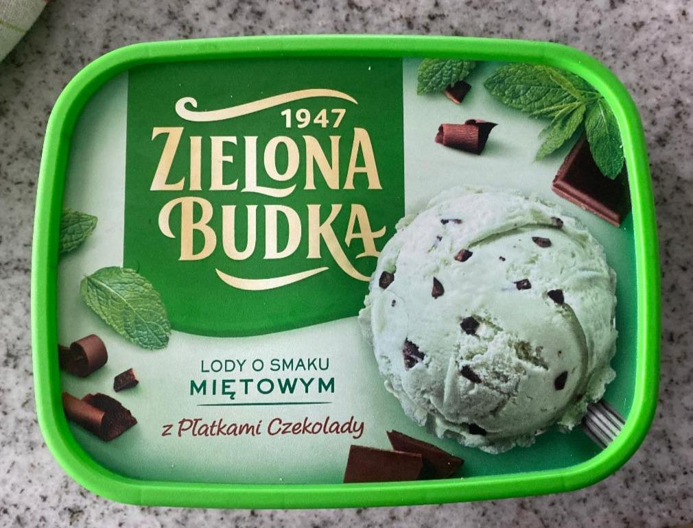 Fotografie - Lody o smaku mietowym z platkami czekolady Zielona Budkla