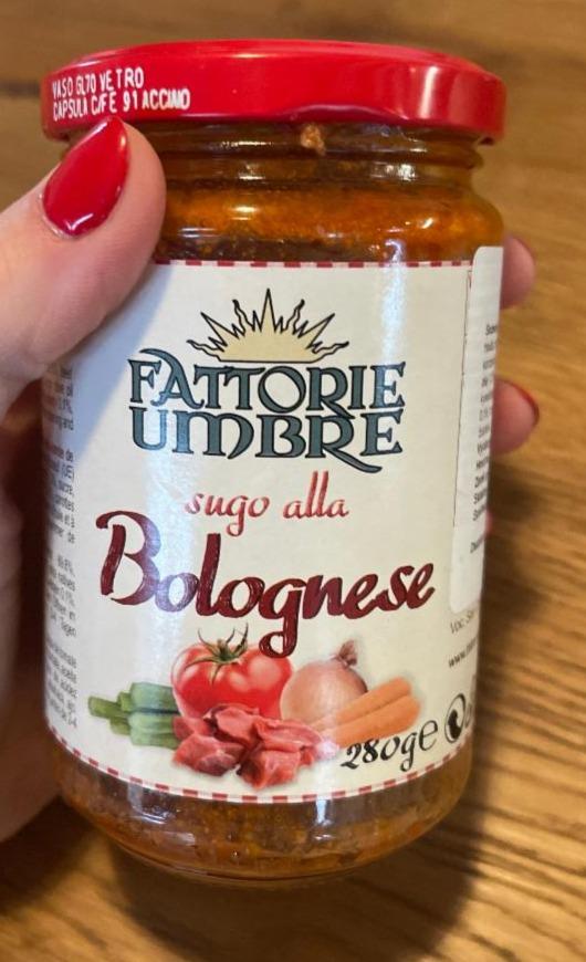 Fotografie - Sugo alla Bolognese Fatttorie umbre