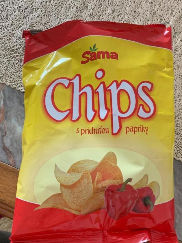 Fotografie - sama chips s príchuťou papriky