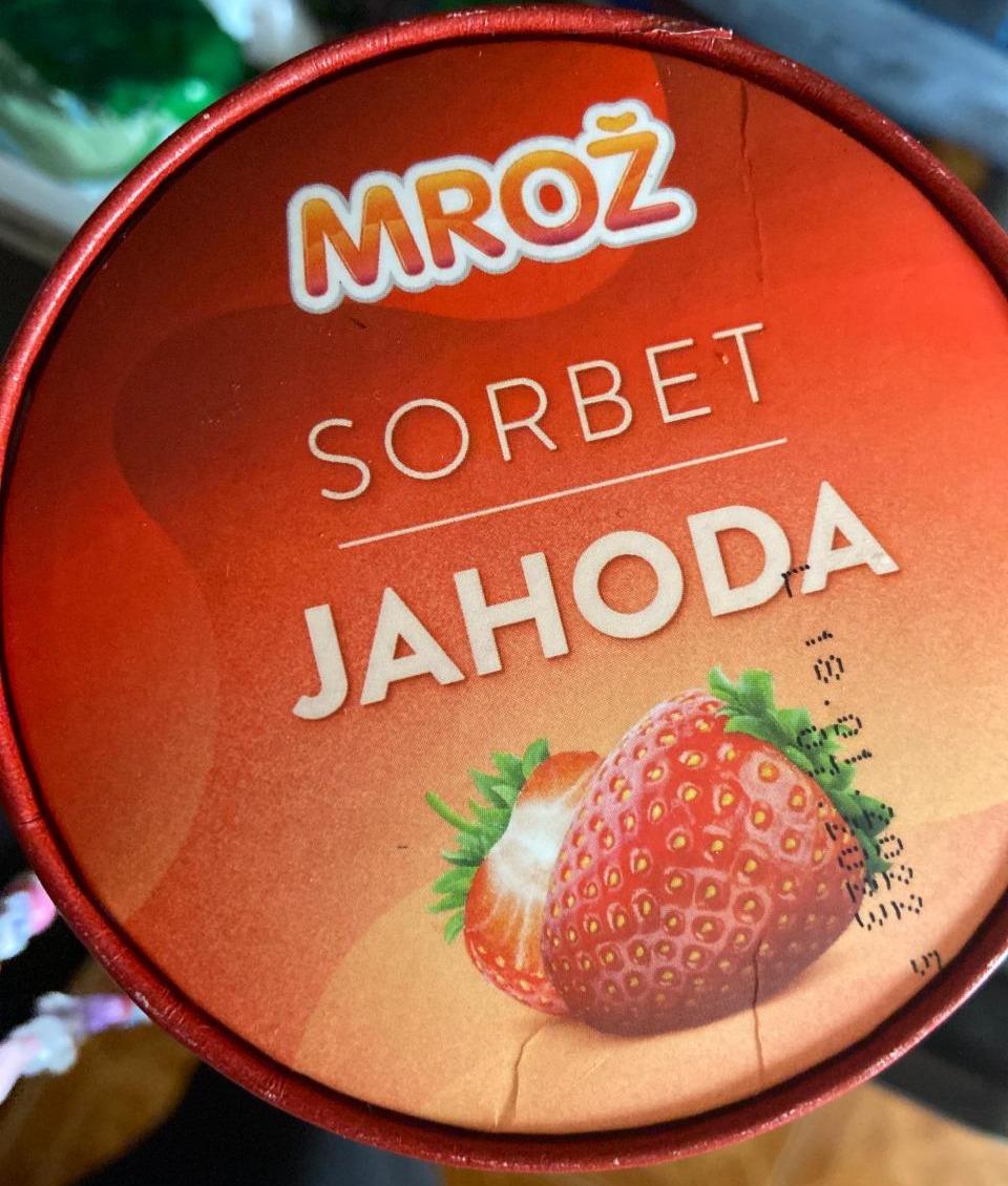 Fotografie - Mrož sorbet jahoda Prima