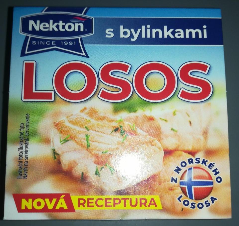 Fotografie - Losos s bylinkami Nekton