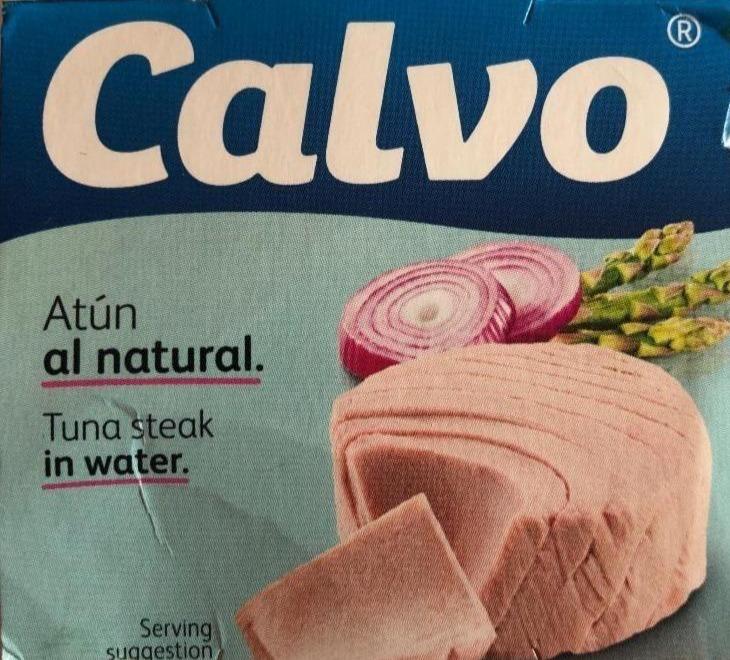 Fotografie - Calvo Atun al natural