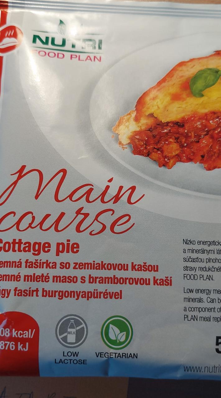 Fotografie - Jemná fašírka so zemiakovou kašou Nutri Food