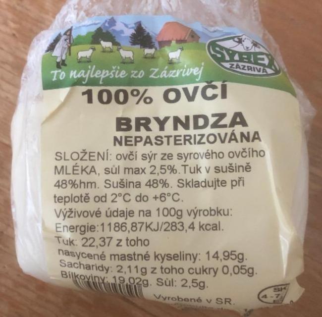 Fotografie - 100% ovčia bryndza nepasterizovaná Syrex Zázrivá