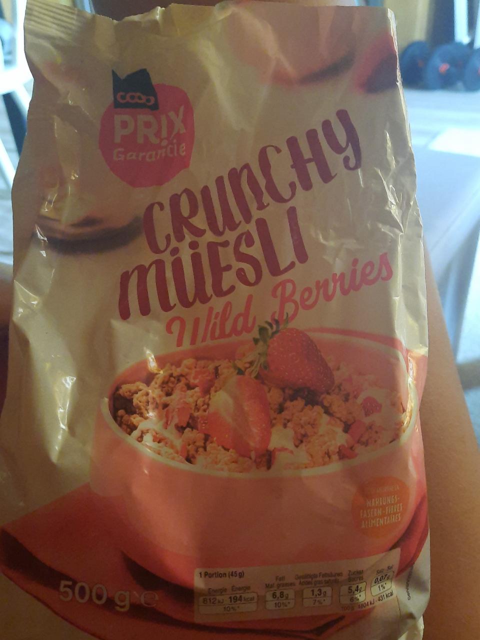 Fotografie - chrunchy muesli wild berries