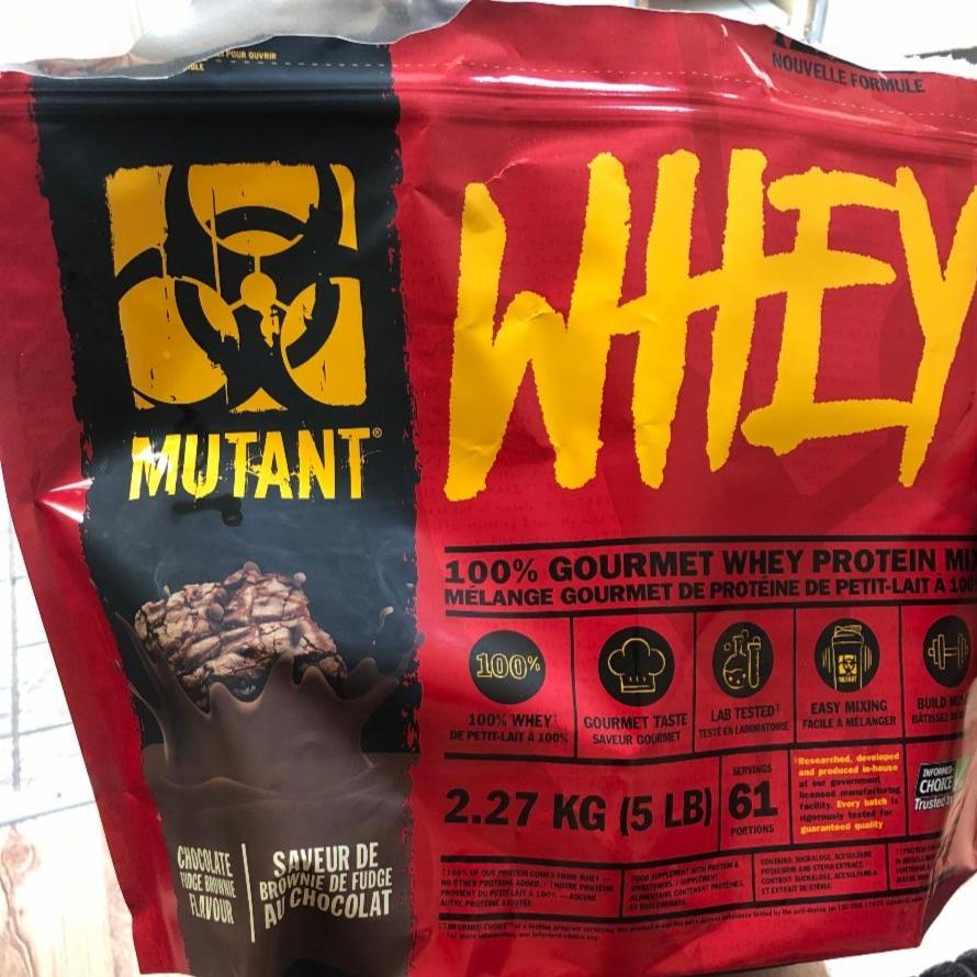 Fotografie - Mutant whey chocolate fudge brownie 