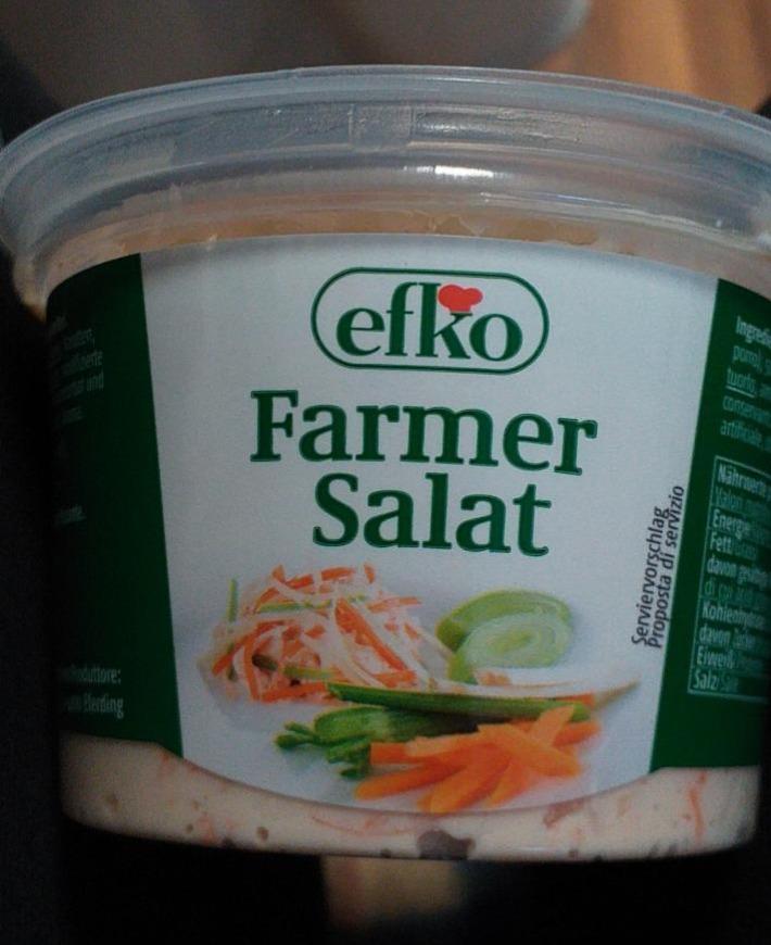 Fotografie - Farmer Salat Efko