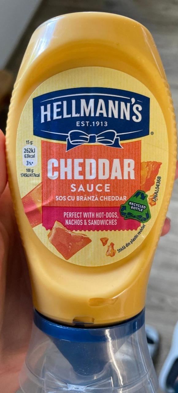 Fotografie - Cheddar Sauce Hellmann's