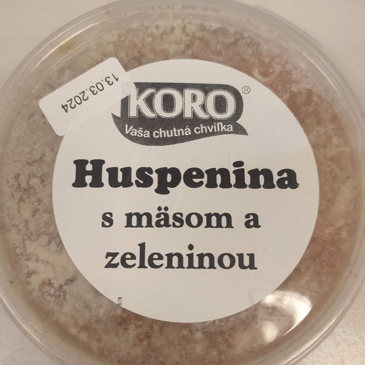 Fotografie - Huspenina s mäsom a zeleninou KORO